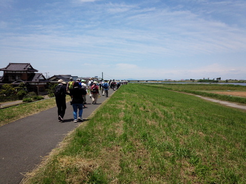 DSC_2035.jpg
